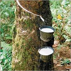 Natural Rubber