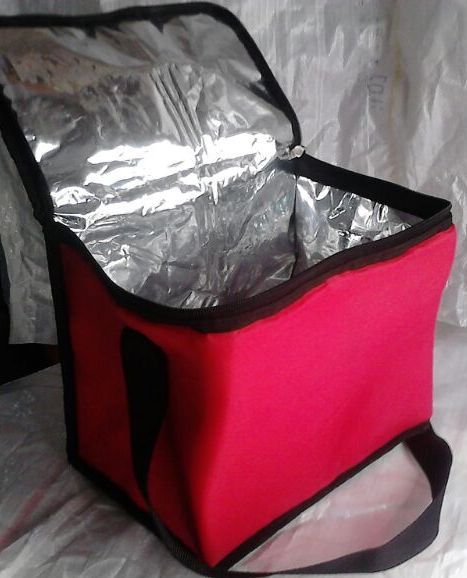 Collapsible Insulated Bags
