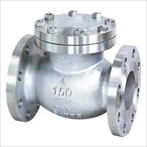 Industrial Check Valves 