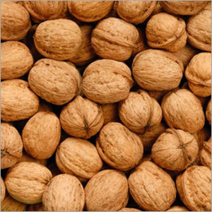 Walnut Kernel