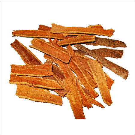 Dalchini