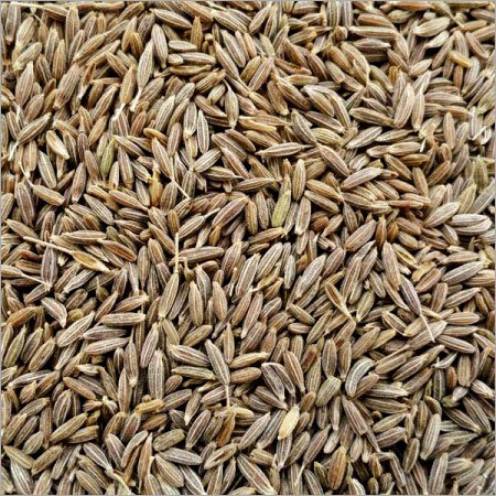 Organic Jeera