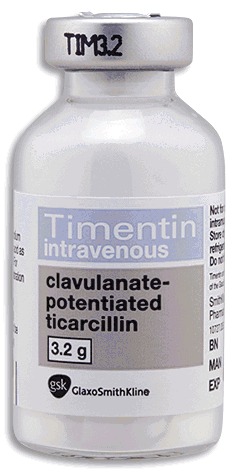Timentin Injection