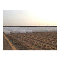 White Agriculture Crop Covers