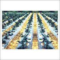 Crop Protection Non Woven Covers