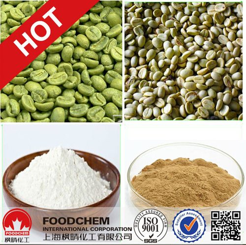 High Quality Green Coffee Bean Extract 10: