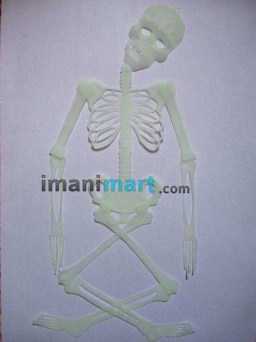 Halloween Prop Skeleton