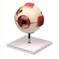Giant Eye