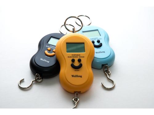 Hanging Scale Digital 40 kg - 10 gm