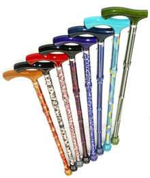 Walking Stick