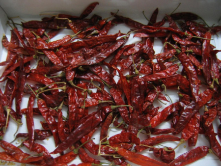 Dried Red Chilies