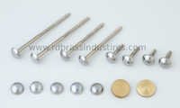 Mirror Screws With Caps