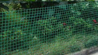 Fencing Net