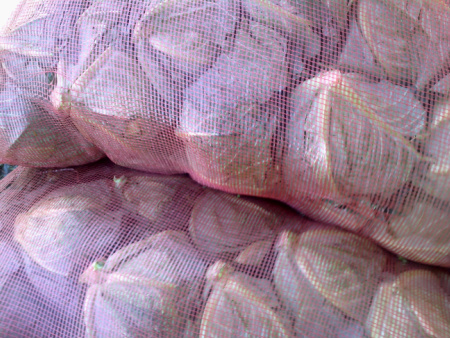 Vegetable Leno Bags