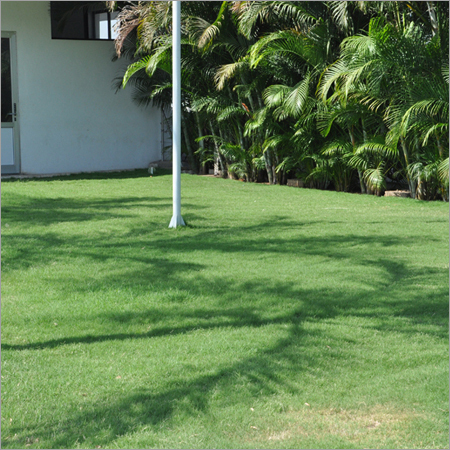 Garden Maintenance Services