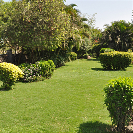 Garden Landscaping Services