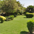 Garden Landscaping Services