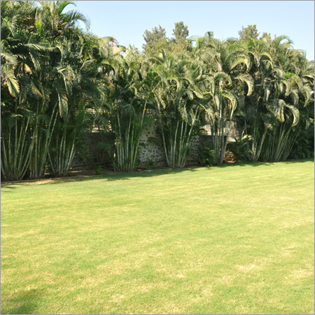 Landscape Garden Development