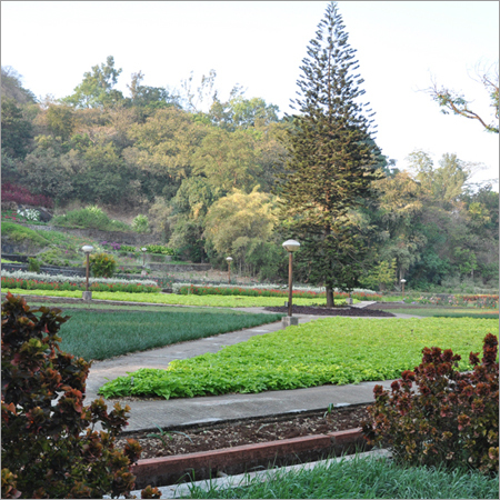 Professional Lawn Care Services