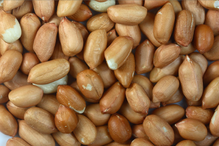 Raw Peanuts