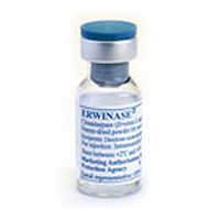 Erwinase Injection