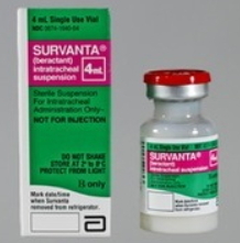 Survanta Beractant Injection