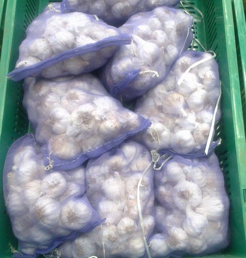 Garlic Monofilament Net Bag