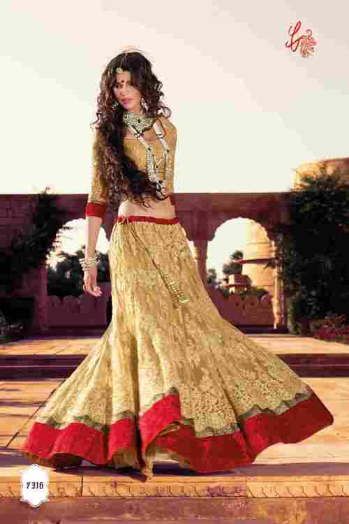 Designer Embroidered Lehenga