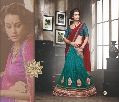 Designer Embroidered Lehenga