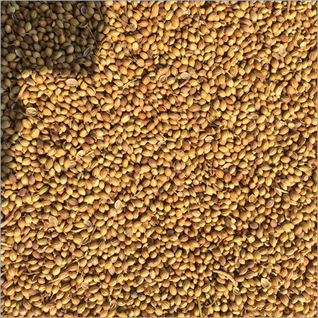 Whole Coriander
