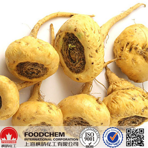 High Quality Maca Extract 21%