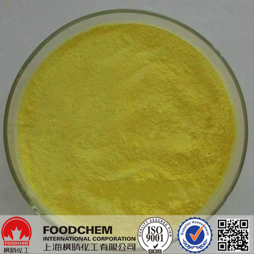 High Quality Sophora Japonica Extract 95% Quercetin - 95% Assay 80 Mesh Yellow Powder | High Purity Low Ash Heavy Metals Compliant Versatile Applications