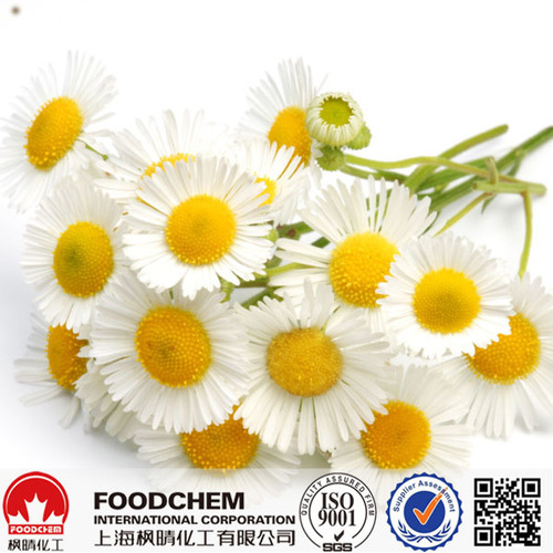 High Quality Chamomile Extract 2% Apigenin
