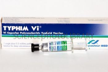 Typhim Vi Vaccine