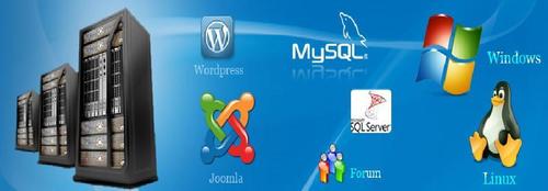 Website Hosting