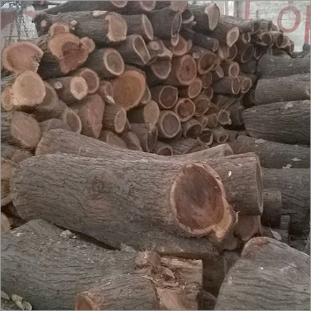 Babul Wood Logs