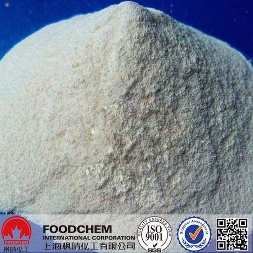 High Quality Pepsin 1:10000