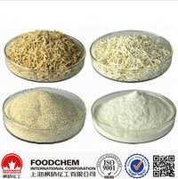 High Quality Calcium Alginate Food Grade - Calcium Alginate Powder, 25kg Bags | Food Grade, Versatile Use, Water Soluble, 99% Purity