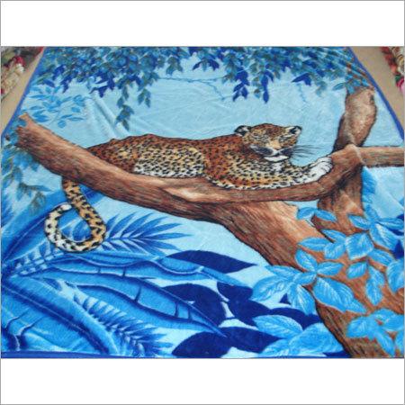 Raschel Blanket