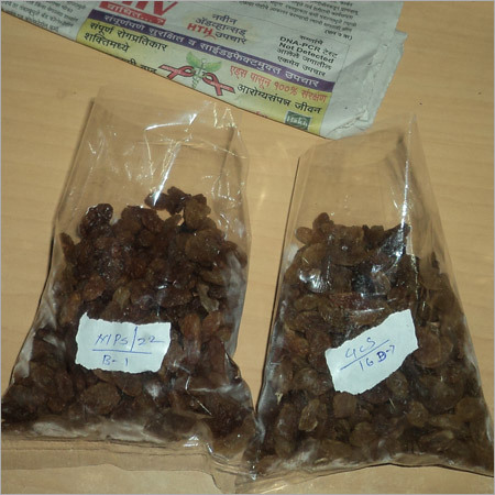 Dried Raisins