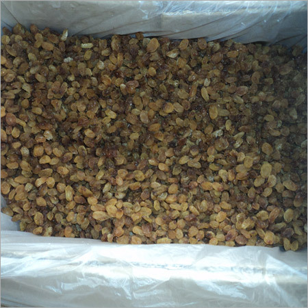 Indian Golden Raisins