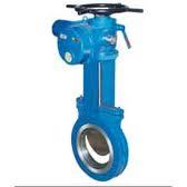 Motorised Gate valve
