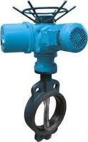 Butterfly Valves