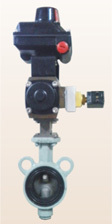 Valve Automation System2