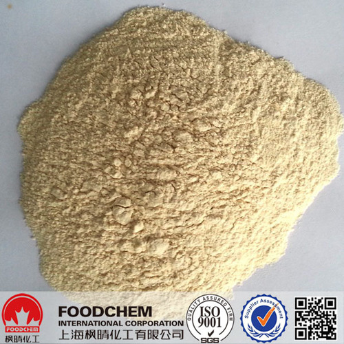 High Quality Garlic Powder A Grade 80%