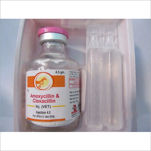 Veterinary Amoxicillin and Cloxacillin Injection