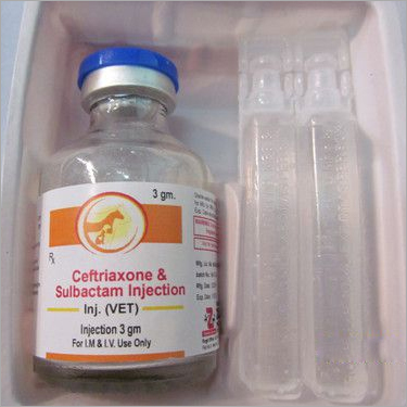Veterinary Ceftriaxone Sulabactam Injection