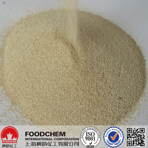 High Quality Dry Yeast High Sugar