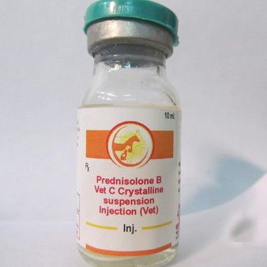 Veterinary Prednisolone Acetate B Vet C Injection