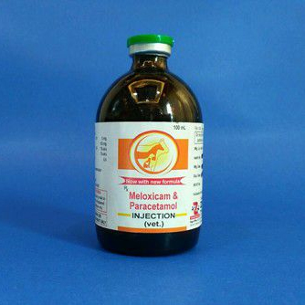 Tablets Veterinary Meloxicam Paracetamol Injection